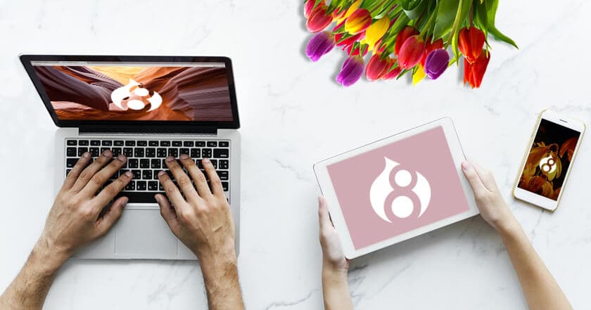 RESTful Web Services と REST UIで始めるDrupal8 REST API入門