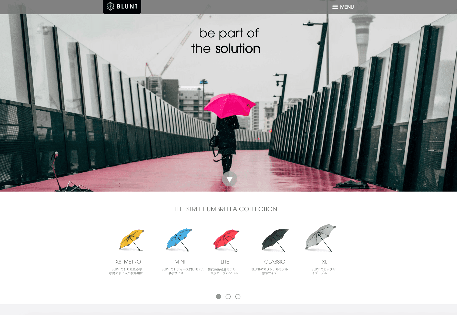 BLUNT Webサイト イメージ画像