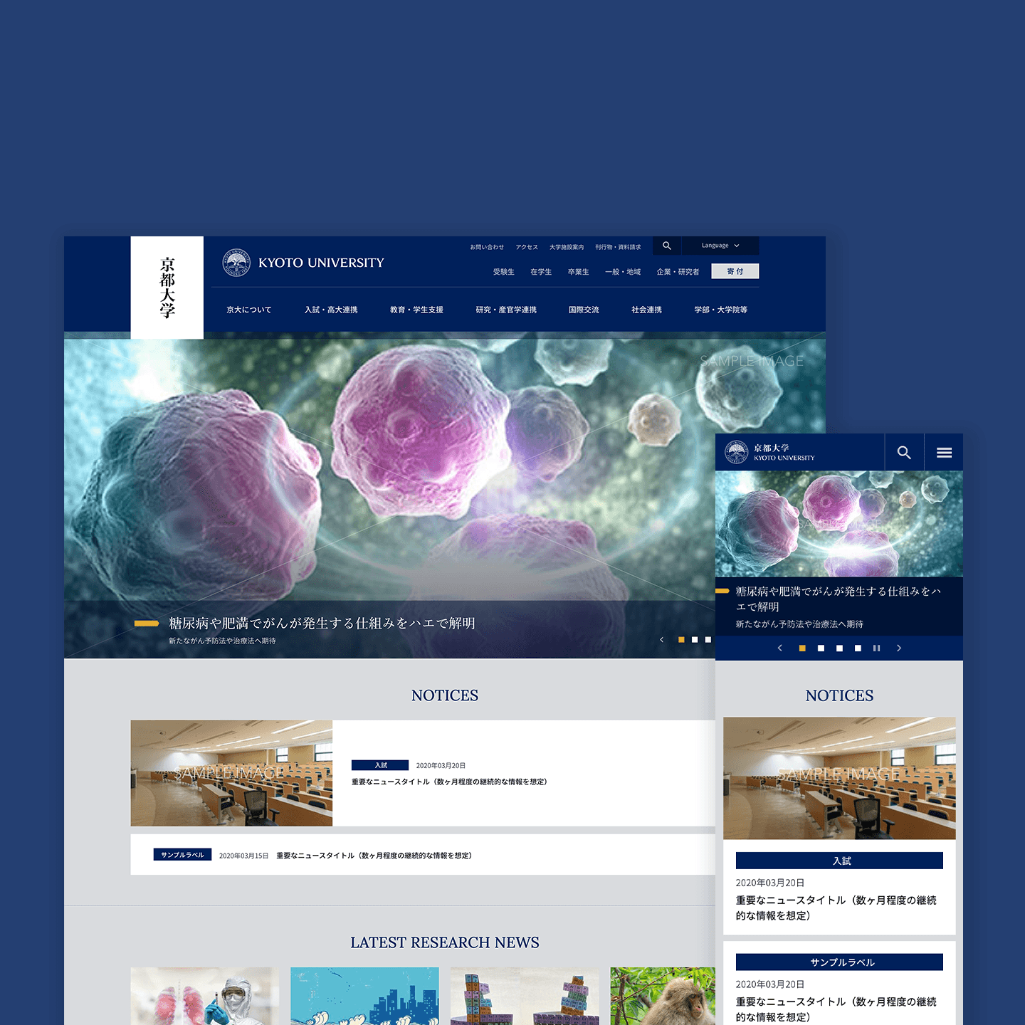 京都大学