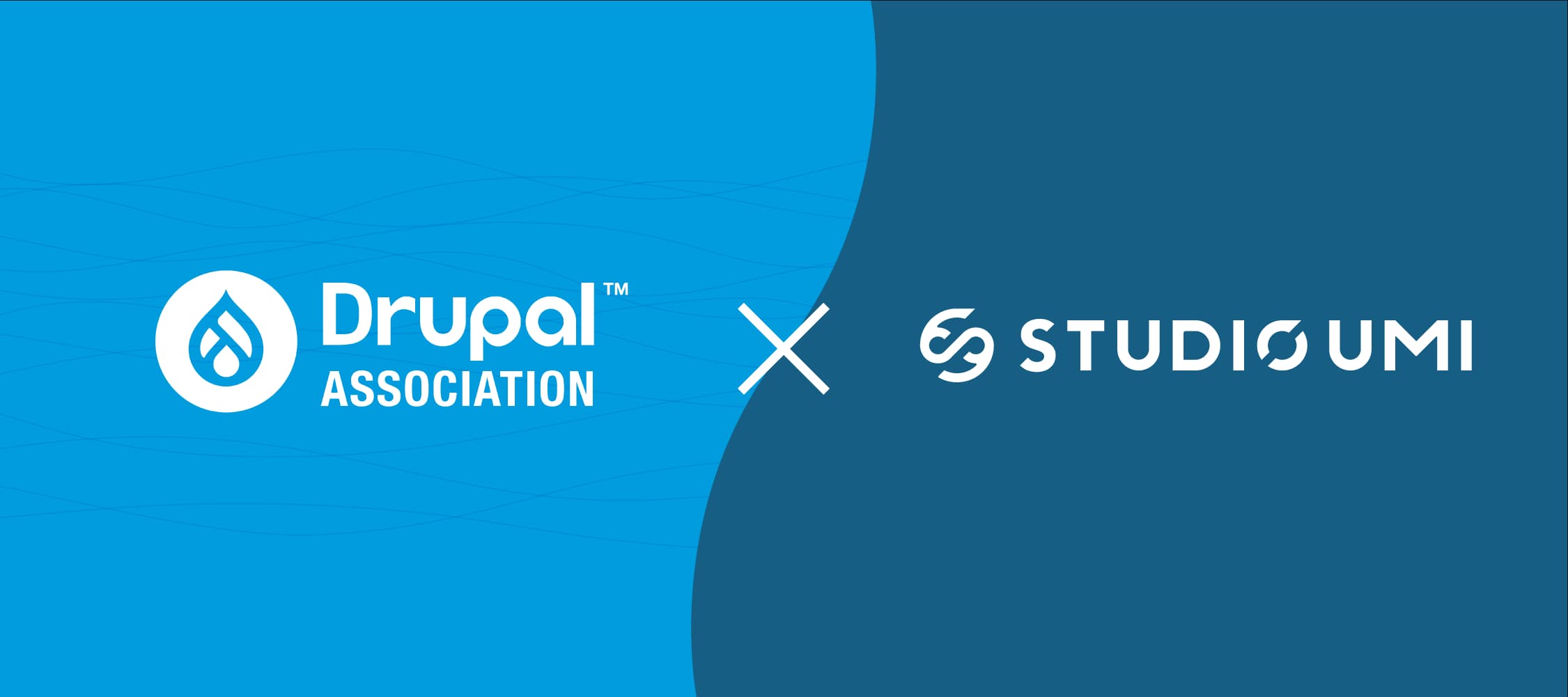 Drupal認定パートナー