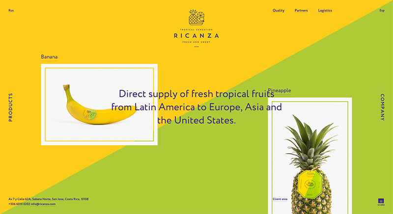Ricanza-レスポンシブWebデザインのユニークグリッドサイト