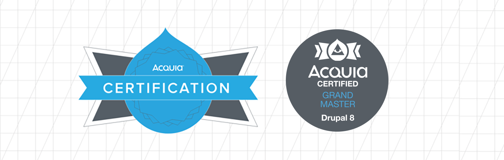 Acquia Certification ​/ アクイア認定プログラム